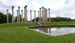 The National Arboretum
