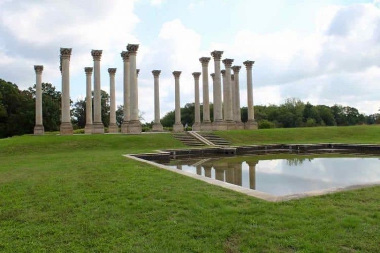 The National Arboretum