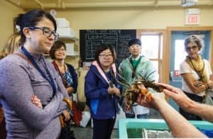 lobster on pei