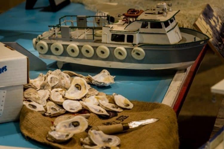 Oyster shell display in the Gulf of Mexico exhibit