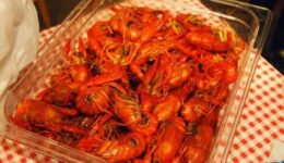 crawfish