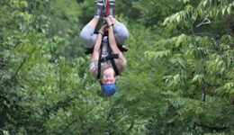 tennessee-flying-high