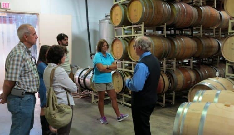 Learning how they make wine at the winery at the Biltmore.