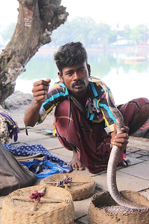A snake charmer sits along the path around Beira Lake in Sri Lanka's capitol of Colombo.