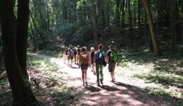 Grunwald-hiking