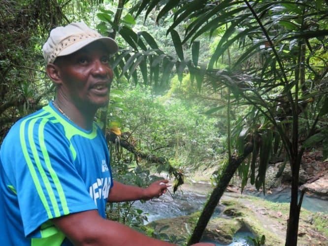 Kenton Davy, Reach Falls' lifeguard and tour guide of ten years, leads our group to the waterfall