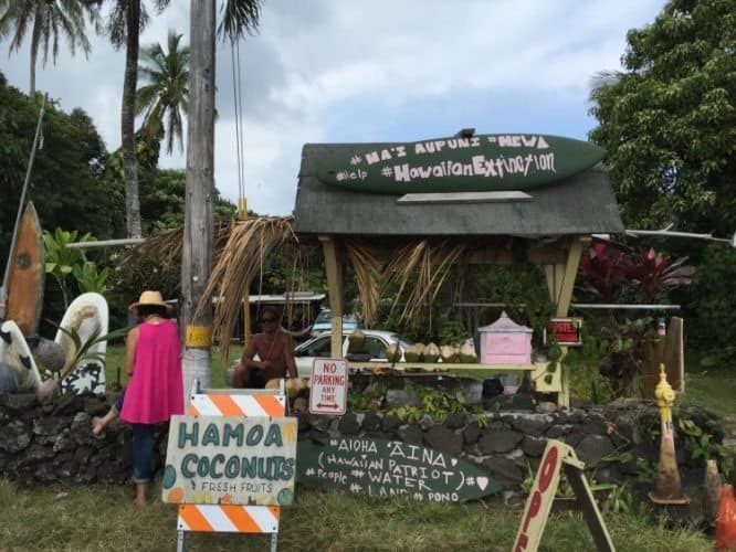 Frankie stops at a coconut stand in Hana.