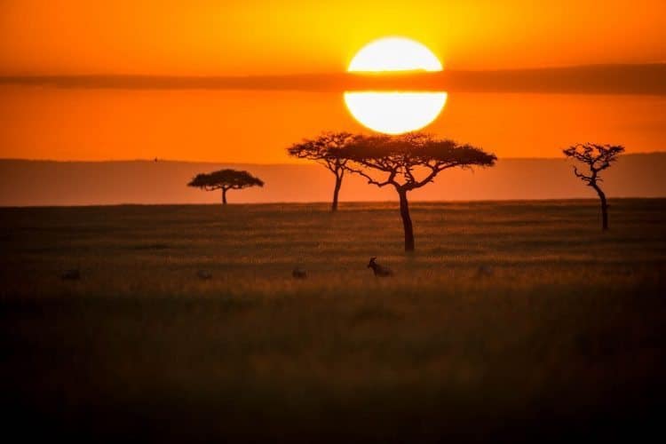 Adventures Across Africa