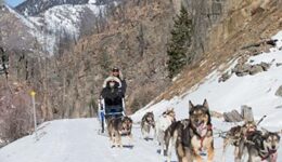 dogsledding