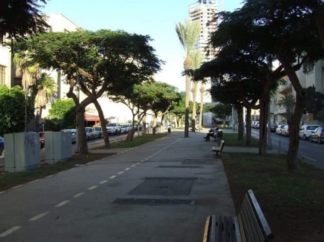 Tree-lined Rothschild Boulevard in Tel Aviv, a favorite strolling area for locals in Tel Aviv.