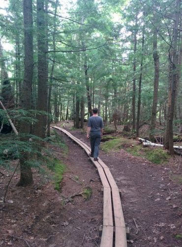 Walking through the woods in the Porcupine Mountains, in the UP.
