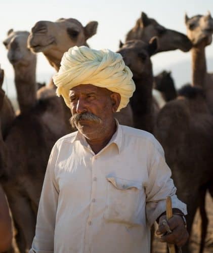 A camel trader contemplates his next move at the Pushkar Camel Fair in Rajasthan, India.