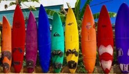 colorful-surfboards