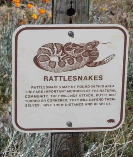 Watch out for rattle snakes.