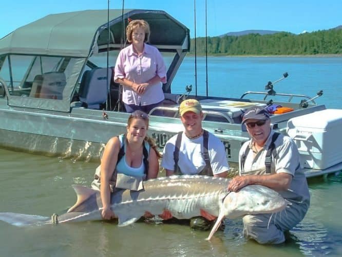 Fraser River - Chilliwack Sturgeon