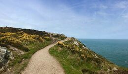 Cliff-Walk