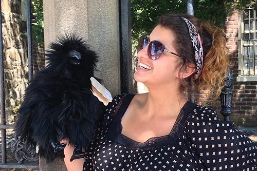 A large Raven puppet sold at the Poe Museum Gift Shop.