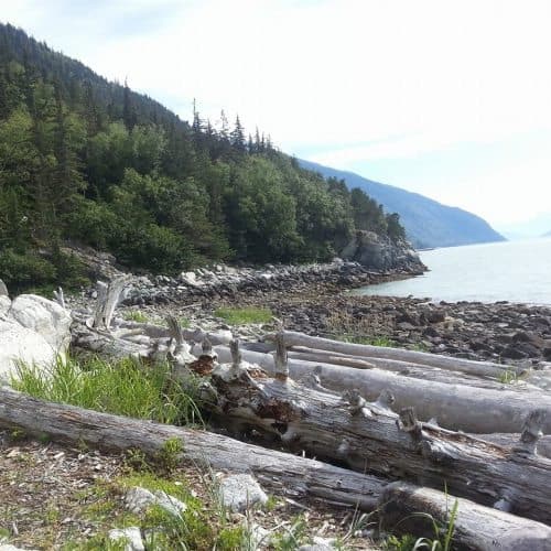 The coast of Alaska near Skagway. A great place to be a seasonal worker, says the author. Kay Vandette photos.