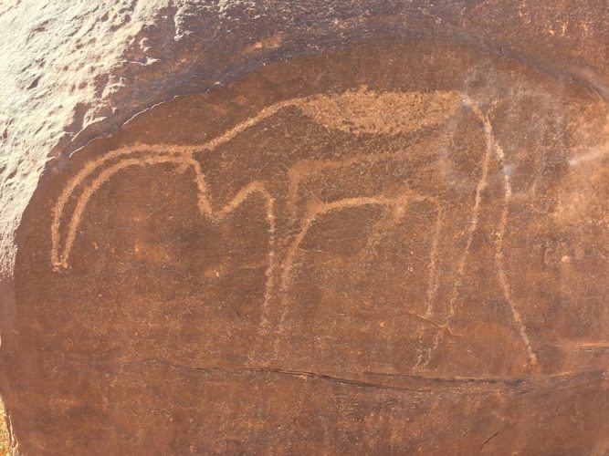 Petroglyphs created by ancient people in a cave in Algeria.