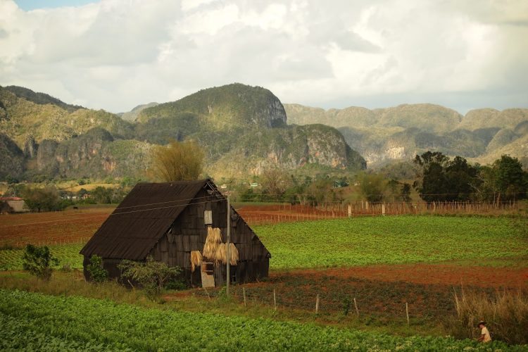 Tobacco barn in Vinales, Cuba. Jon Sliva photos.