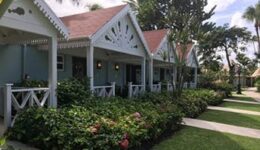 caribbean-grove