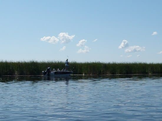 The Rideau Canal is perfect for summer activities like fishing, paddle boarding, and swimming. 