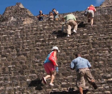 Climbing up an ancient Mayan temple in Belize. Max Hartshorne photo.