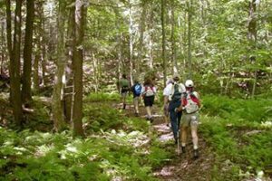 Vermont's New Life Hiking Spa: Retreat to the Green Mountains new-life-hking-spa