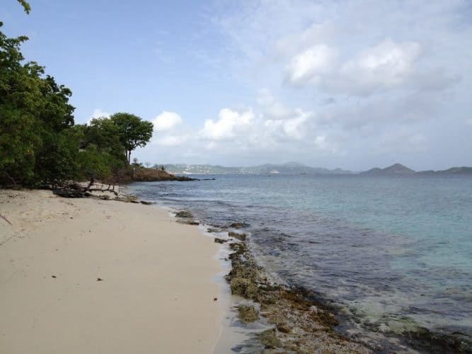Honeymoon Beach on St. John snorkeling the reef around the rocky point is superb! | GoNOMAD Travel