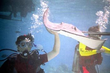 Grand Cayman for Diving and a Trip to Hell