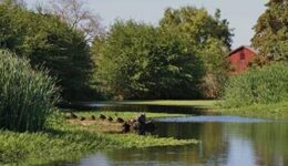 talking-water-garden