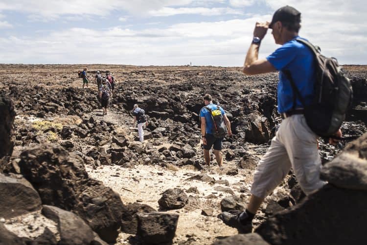 Tenerife: Discovering the Adventurous Side 5 Hiking Tenerife