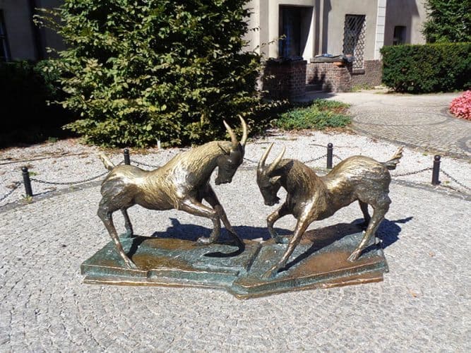 These goats are the symbol of Poznan, memorialized in bronze in the town square.