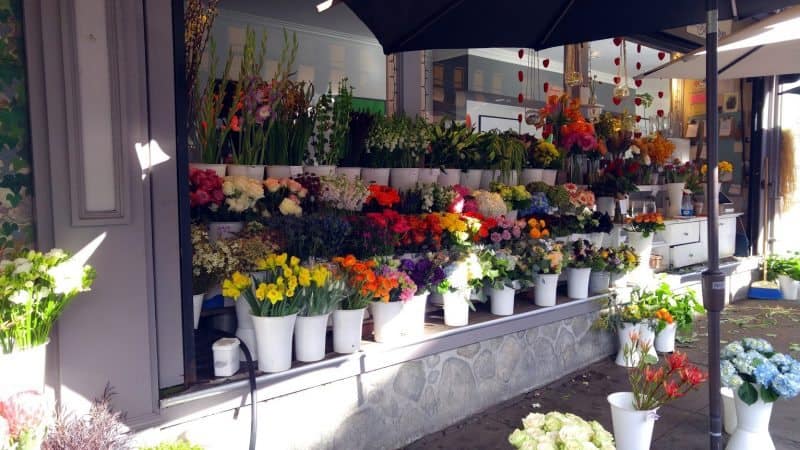 A flower market in Cow Hollow, San Francisco.