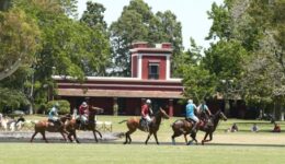 Polo ponies enjoying a game at La Bamba, an estancia in the pampas of Argentina.