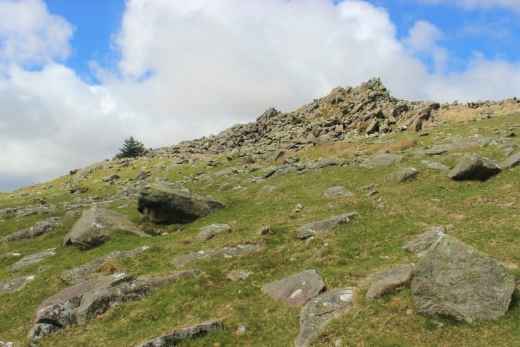 Bluestone, Foel Drygarn