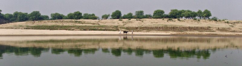 Slow cruise on the Chambal River.