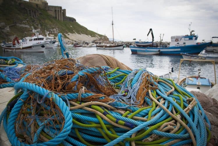 Fishing lines in Procida's active fishing boat marina.