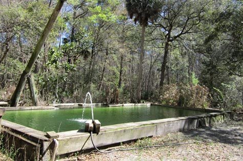 The freshwater pool is nice to have during the hot Georgia summers. 