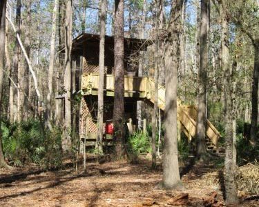 two story peacock hut 1