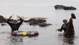 An Ama with the day's catch in Toba. Ellen Kaplowitz photo.