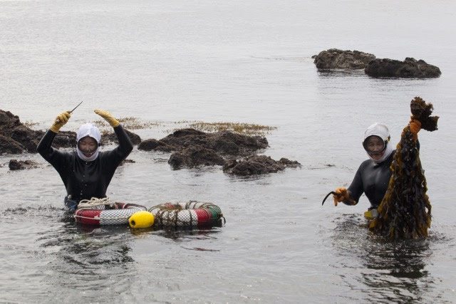 An Ama with the day's catch in Toba. Ellen Kaplowitz photo.