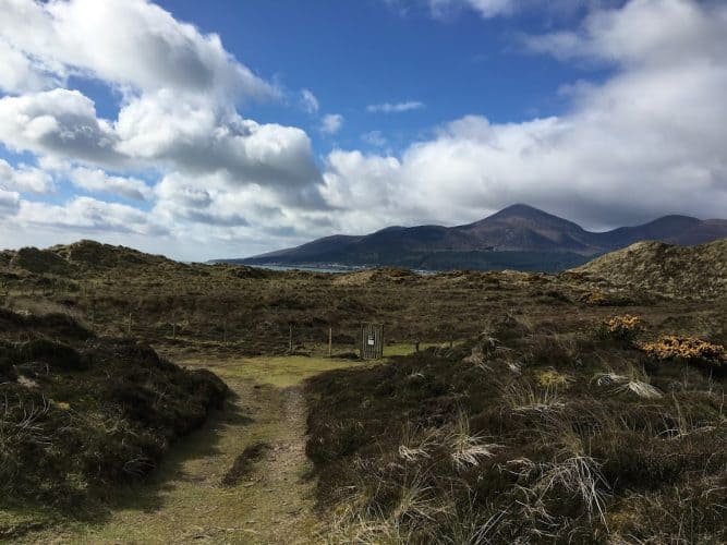 The view looking back to the Mournes from Murlough