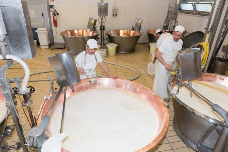 Consorzio Vacche Rosse red cow parmesan cheese factory and dairy farm near Reggio Emilia. Heather von Bargen photos