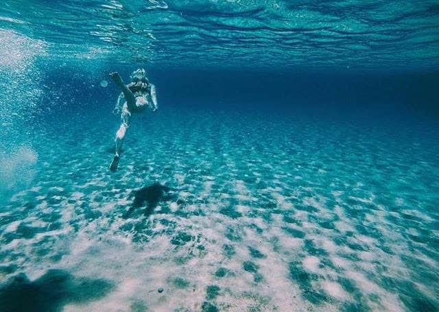 Dipping and diving in the depths of Lake Mckenzie on Fraser Island.