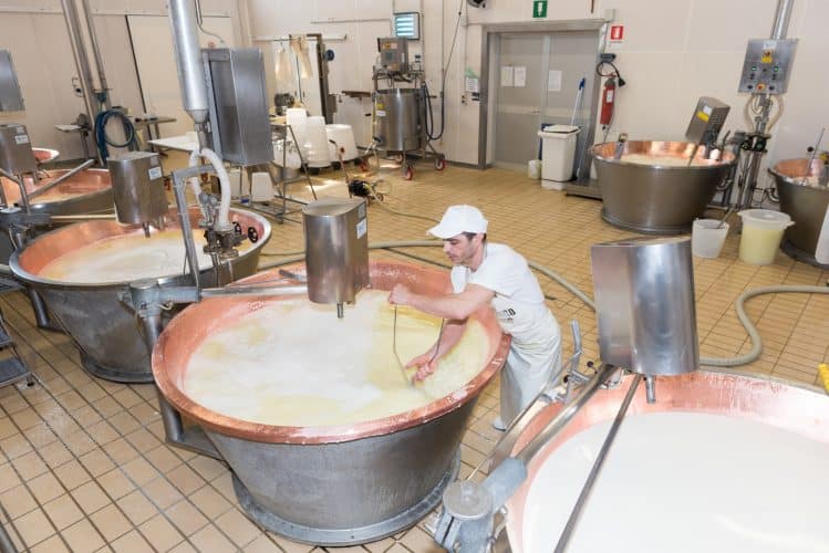 The Master Cheesemaker checks the cheese with a ladle.