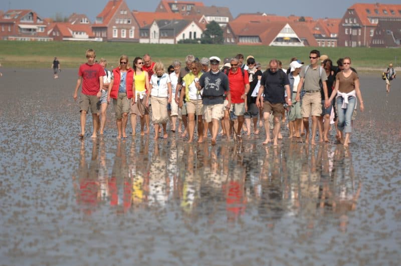 Juist is partially known for its mudflats which are a common tourist attraction. Photo courtesy of juist.de