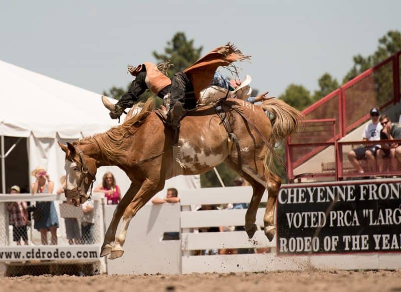 A bucking bronco; try and hang on for eight seconds!