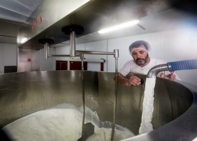 Cutting the cheese at Queso del Casar