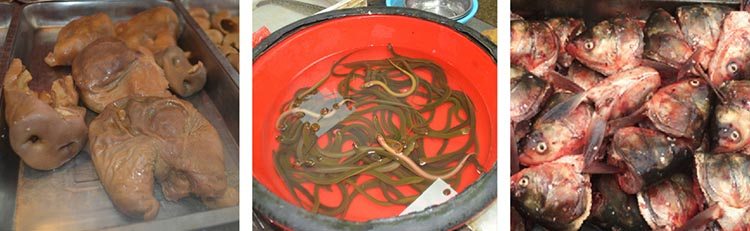 Snakes on a plate: Food on display in Jingzhou, China.